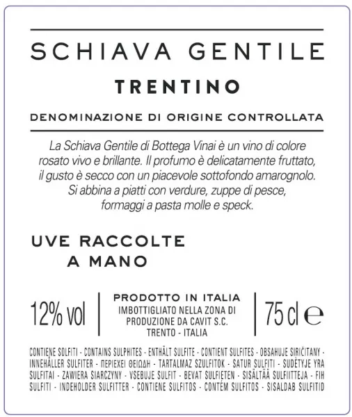 Bottega DOC Schiava 2022 Gentile Vinai Trentino | Svinando
